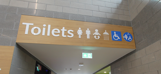 Changing Places Toilets and the need for Disabled Toilet Alarm Systems